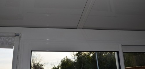 DSC_0445.JPG