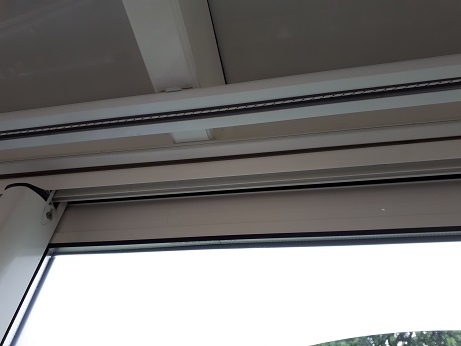 20190511_082740.jpg