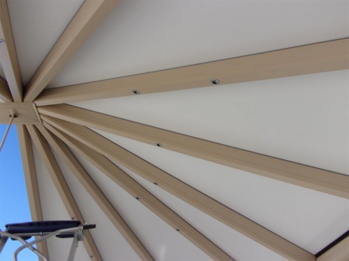 100_0049 (Large).JPG